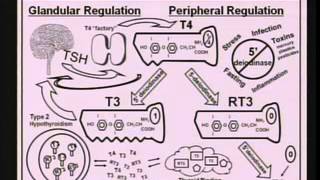 Epigenetics Modern Day Lifestyle and Your DNA [upl. by Nnylram]