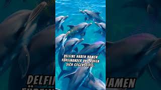 🐬 Geheimnisse der Delfine 🌊💙 facts [upl. by Ahsirtap]