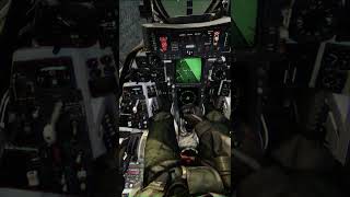 Dcs World 28  F14B new pilot model [upl. by Lovell761]