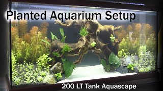 Planted Aquarium Setup  200 LT Tank Aquascape [upl. by Gerrit162]