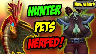 SoD Class Tuning Hunter Pets Nerfed AGAIN MM Buffed amp Priest Nerfs [upl. by Clive]