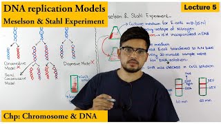 Meselson and Stahl Experiment  Models of DNA Replication  Lecture 5 [upl. by Lamek]