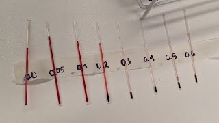 fisiología prac semana 3 [upl. by Herrera]