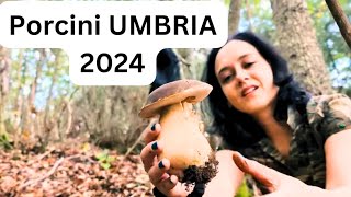 PORCINI UMBRI  LE CASTAGNOLE NERE DI OTTOBRE [upl. by Ralleigh]