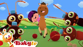 Ren paard ren 🐎  Kinderliedjes amp Kinderliedjes 🎵 BabyTVNL [upl. by Arsuy]