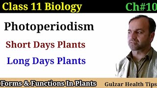 Photoperiodism  Short days plants  Long days plants  Day neutral plants  class 11th Biology [upl. by Acirne]