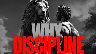 Why discipline is your key to success [upl. by Savior911]