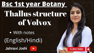 Volvox Thallus Structure NotesBsc 1st year Botany [upl. by Anivram5]