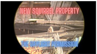 A new property The Daylight Permission [upl. by Sarat907]