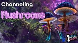 Psychic Channeling Mushrooms  Ep 112 [upl. by Brandyn]