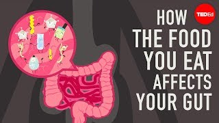 How the food you eat affects your gut  Shilpa Ravella [upl. by Ahselet]