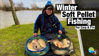 Soft Pellet Fishing For Carp amp F1s In Winter  Lindholme Lakes [upl. by Behlke720]