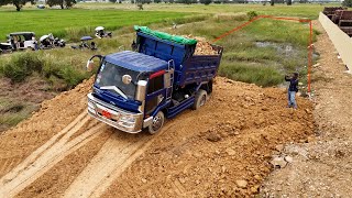 Wonderful Starting New Land Clearing amp Filling Up By Dozer Push Soil Stone Vs 5ton Truck Unloading [upl. by Aseeral]