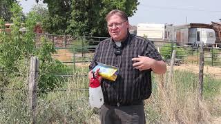 Gardening basics How to control bindweed in flower beds [upl. by Godden455]