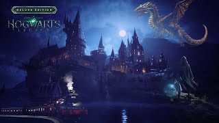 Hogwarts Legacy  Becoming best magician in Hogwarts  livestream With Commentary [upl. by Grose]