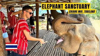 Spending a day with ELEPHANTS 🐘  Chiang Mai Thailand  Travel Vlog [upl. by Tobin]