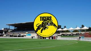 Glenelg Tigers theme song [upl. by Yate]