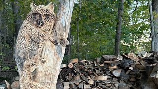 Chainsaw carving a raccoon chainsawcarving woodworking artsandcrafts [upl. by Ziza]