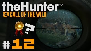 🦌 theHunter Call of the Wild 12  INTENTO DE CIERVO RANGO ORO  Gameplay en Español [upl. by Eiaj]