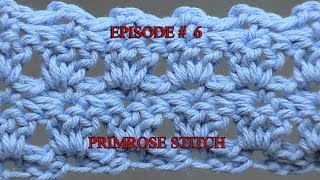 Stitch Gallery amp Glossary Episode 6 Primrose Stitch [upl. by Ahsenak]