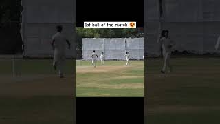 Wicket  Wicket  Wicket First ball 😍  shorts ashes Subscribe if you like 🥺 [upl. by Windham265]