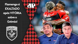 quotÉ COVARDIA O Flamengo AMASSOU o Grêmio foi MELHOR EM TUDO e pra mimquot MENGÃO É EXALTADO [upl. by Edyth]