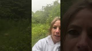 Foraging native wild Honeysuckle lonicera periclymenum in Scotland  see my channel video ❤️ [upl. by Nosecyrb171]