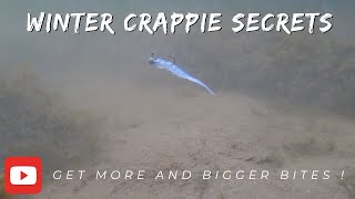 Winter Crappie Fishing Secrets Insane underwater footage [upl. by Wilhelm]