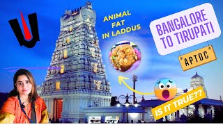 Tirupati Temple Travel Vlog  Tirupati Balaji Darshan  Bangalore to Tirupati APTDC Package Tour [upl. by Alyal]