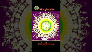 মেরাজেযায়আল্লাহরহাবিবনুরেসল্লিয়ালা Nice Ghazal islamic gazal Notun ghazal [upl. by Tireb]