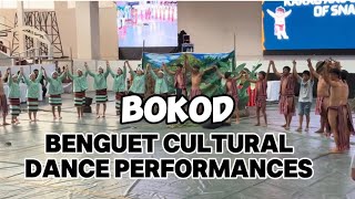 Municipality of Bokod’s Performance at Benguet Cultural Dance Performances 2024 [upl. by Bev]