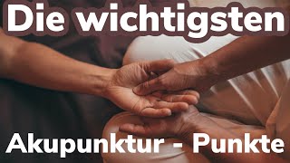 Die 4 WICHTIGSTEN Akupunkturpunkte für die 5 Übungen des Wudang Qi Gong [upl. by Euqinue]