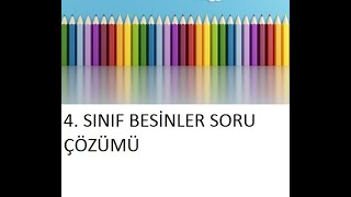 4 SINIF BESİNLER SORU ÇÖZÜMÜ [upl. by Notirb144]