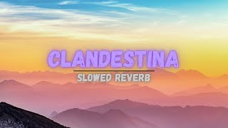 CLANDESTINA SONG SLOWED REVERB  BASS BOOSTED  clandestinas MRINFINITRIX [upl. by Tannenbaum]