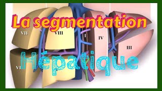 La SEGMENTATION HÉPATIQUE expliquée clairement [upl. by Aduh]