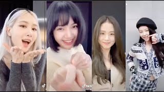 TIKTOK BLACKPINK  ICE CREAM CHALLENGE w SELENA GOMEZ [upl. by Thielen656]