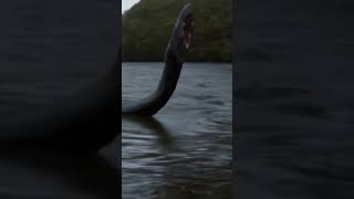 The Loch Ness Monster 🦕 [upl. by Kira254]