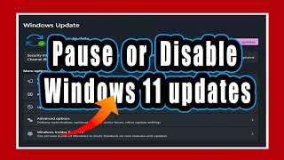 How to pause and disable Windows 11 updates [upl. by Costin]