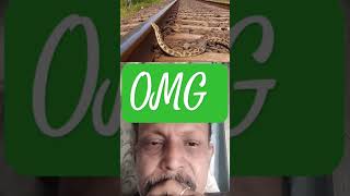 Python in railway track trendingshorts railwayline railwayline ytshort viralvideo [upl. by Xanthus]