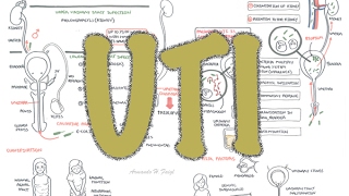 Urinary Tract Infection  Overview signs and symptoms pathophysiology causes and treatment [upl. by Aziul]