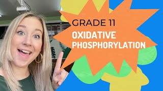 OXIDATIVE PHOSPHORYLATION  Cellular Respiration [upl. by Neetsyrk]