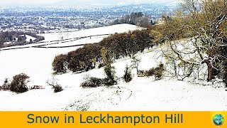 Snow in Leckhampton Hill [upl. by Wildee]