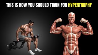 What is HYPERTROPHY and how does it happen  FIT FUNDAMENTALS [upl. by Tommi]