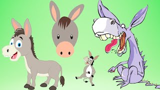 quotHeeHaw Donkey’s Day  Fun Donkey Song for Kidsquot [upl. by Hilda]