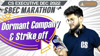 DORMANT COMPANY AND STRIKE OFF DETAILED LECTURE  SBEC PART C MARATHON [upl. by Whitten]