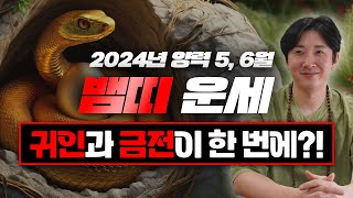 2024년 갑진년 양력 5 6월 뱀띠 운세 두 번 다시 없을 횡재수가 옵니다  89년생 77년생 65년생 53년생 [upl. by Anamuj538]