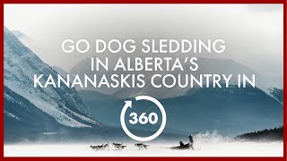 Go Dog Sledding in Alberta’s Kananaskis Country in 360° [upl. by Ladnek]