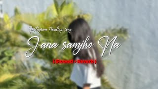 Jana Samjho Na  Slowed  Reverb  Bhool bhulaiyaa 3  Song  Cvu Mx slowedreverb [upl. by Yelnoc]