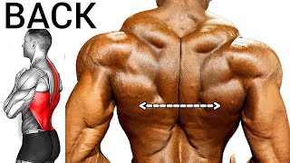 6 EXERCISES TO BUILD A BIGGER BACK [upl. by Shelton875]