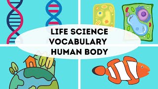 Life Science Vocabulary week 11 [upl. by Balthasar371]